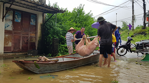 Gần[-]10.000[-]dân[-]Thanh[-]Hoá[-]phải[-]sơ[-]tán[-]vì[-]lũ[-]nhấn[-]chìm[-]nhà[-]cửa